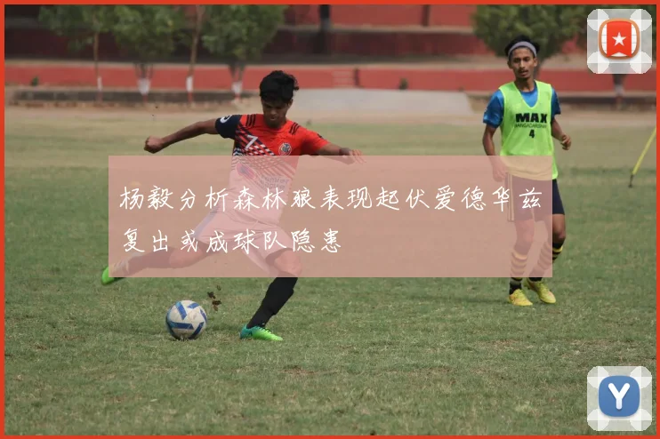 杨毅分析森林狼表现起伏爱德华兹复出或成球队隐患